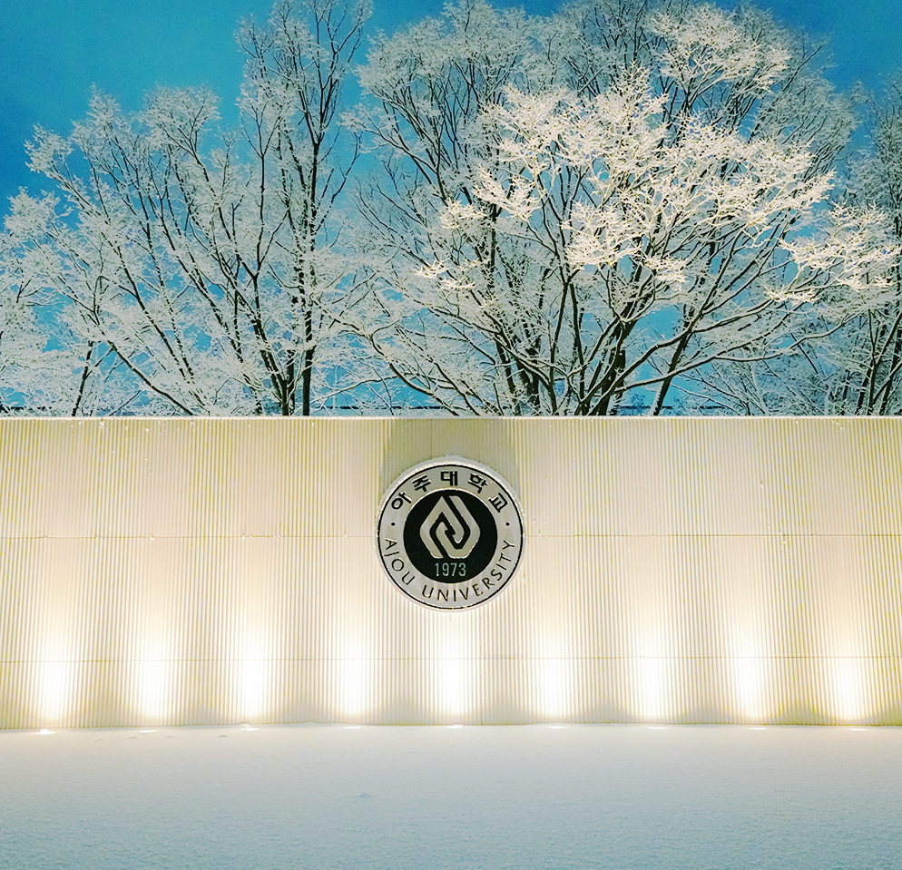 [Instagram] 눈 내린 겨울의 아주