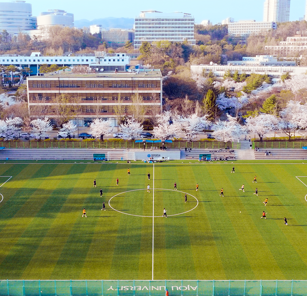 [Instagram] 하늘에서 본 벚꽃 핀 아주